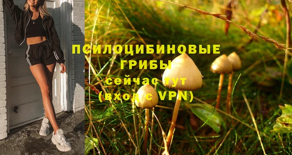 ГАЛЛЮЦИНОГЕННЫЕ ГРИБЫ Касимов