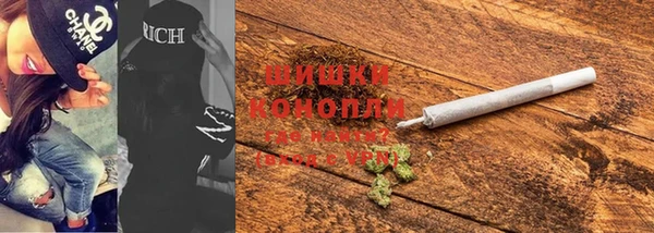 сатива Кодинск