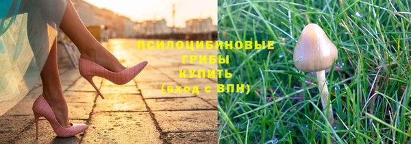 сатива Кодинск