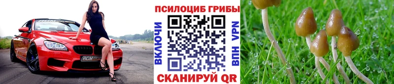 маркетплейс как зайти  наркота  Краснослободск  Псилоцибиновые грибы GOLDEN TEACHER 