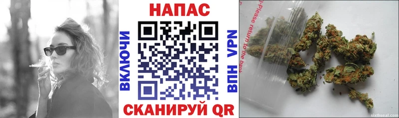 Шишки марихуана Amnesia  магазин продажи наркотиков  Краснослободск 